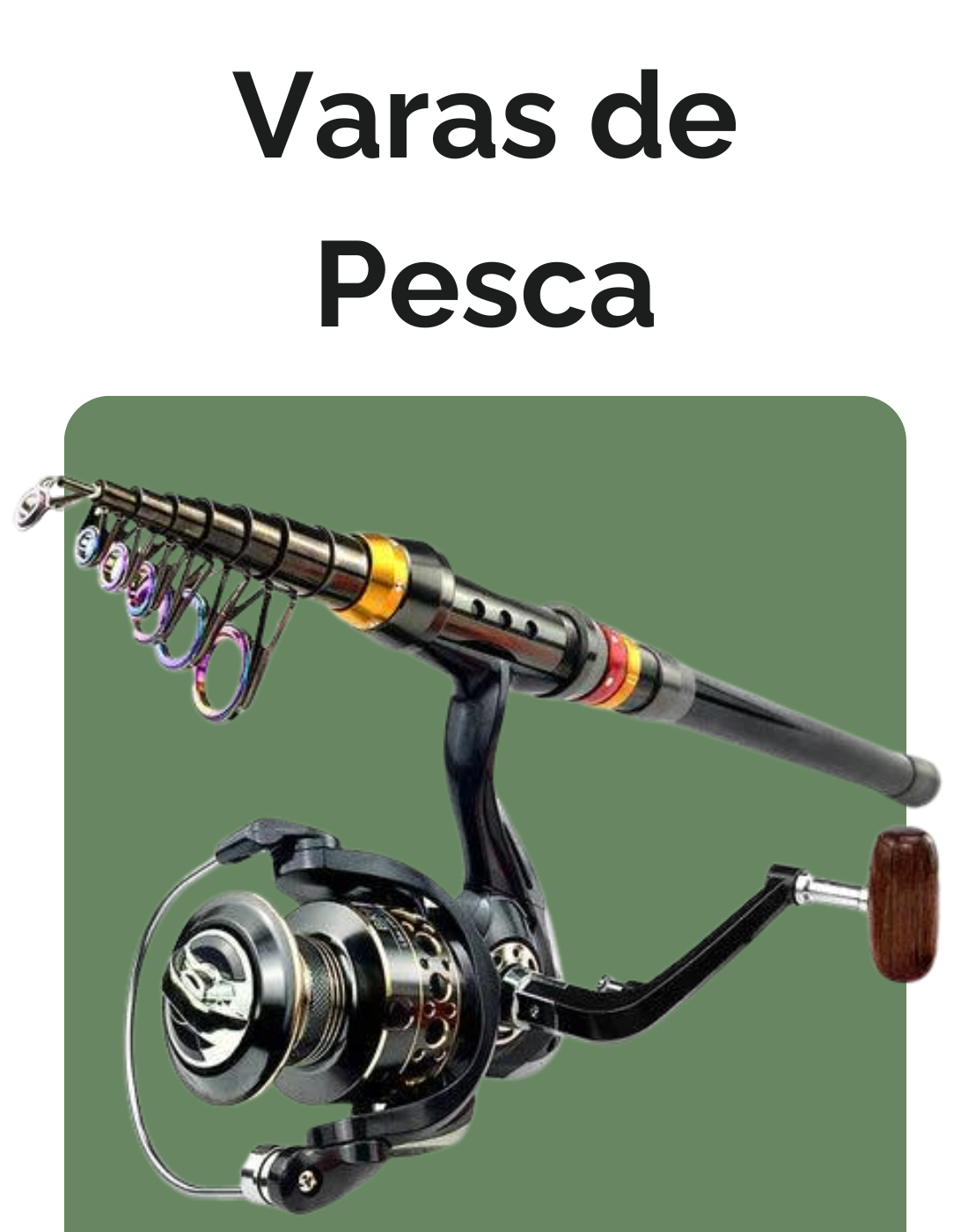 Varas de Pesca