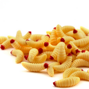 10pcs Iscas Macias De Pesca 2cm/0.4g Com Anzol De Minhocas Plásticas Camarão